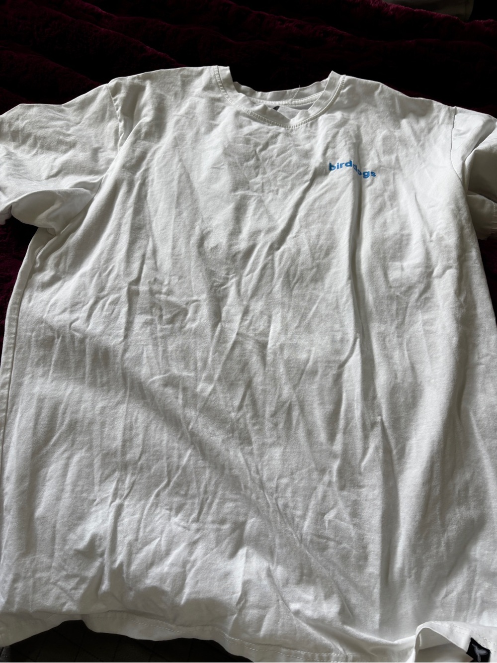 Birddogs White Men's T-Shirt with Small Blue Logo size large